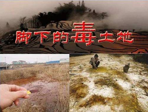 土壤樣品采集開始啦 安國(guó)中藥材（中國(guó)藥典品種）質(zhì)量可追溯項(xiàng)目（ 2020 ）