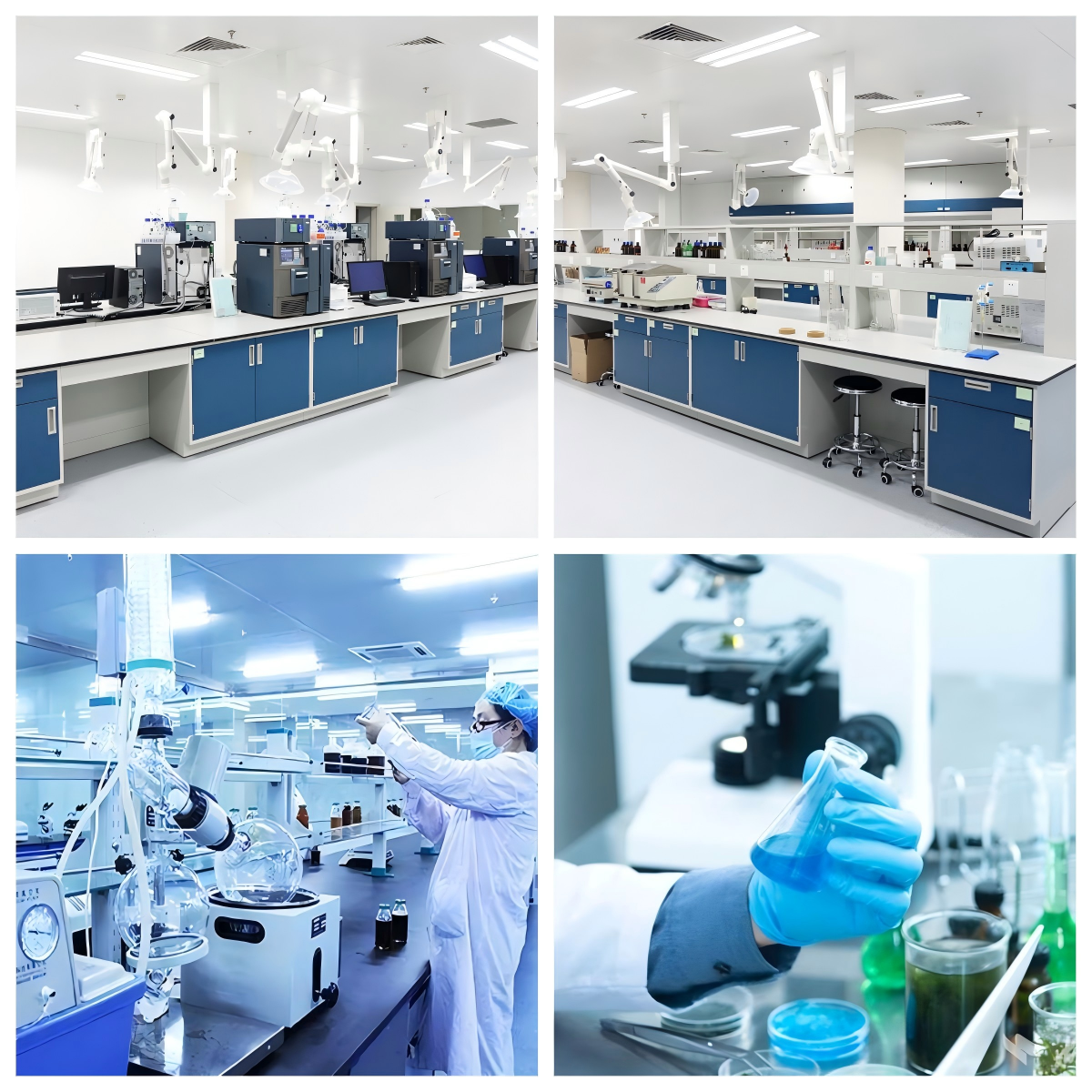 中藥新藥委托研發(fā)服務(wù)